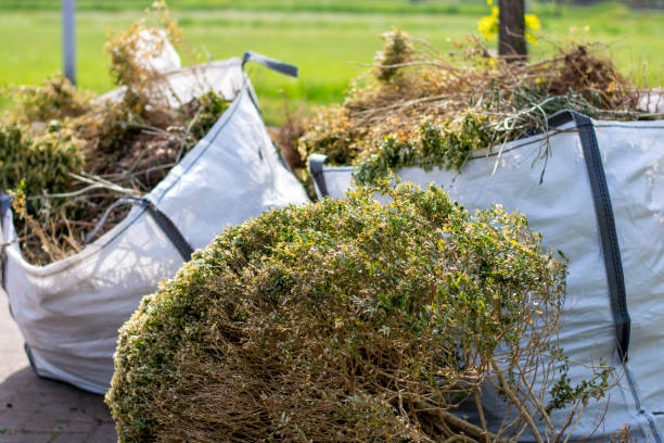 Full-Service Junk Removal in Odenville, AL